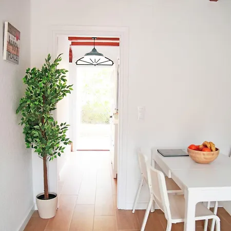 Apartment Duplex Nuevo Terraza Centro Alicante