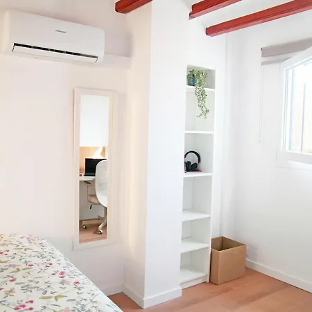 Apartment Duplex Nuevo Terraza Centro Alicante