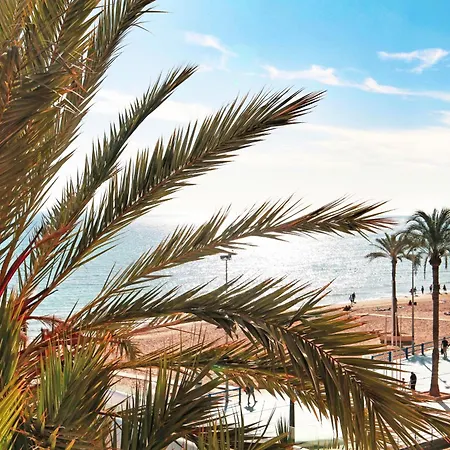 Lejlighed Duplex Nuevo Terraza Centro Alicante